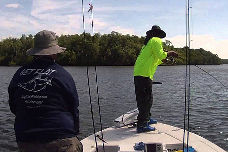 Goliath grouper fishing in Everglades national Park @Joeyflatsfishing ￼