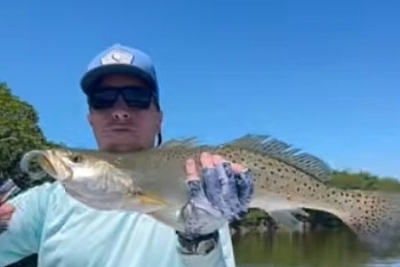 Big trout, Everglades National Park #fishing #everglades #evergladesnationalpark #snook #trout