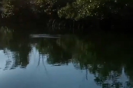 Everglades Backcountry Slam Snook Trout & Redfish JoeyFlatsFishing.com 2013