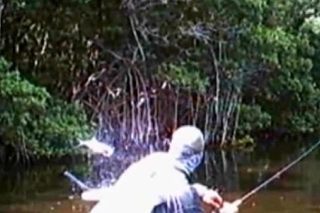 Snook & Tarpon Fishing  in the Back-country  Everglades Nat. Park -Flamingo Joeyflatsfishing.com
