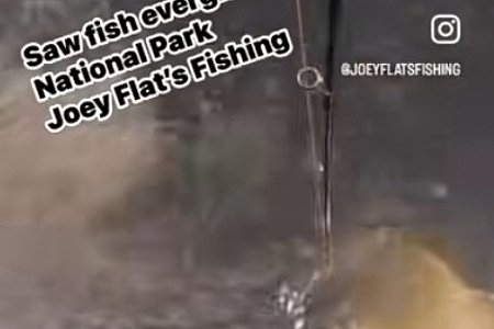 10 foot saw Fish Everglades National Park Joeyflatsfishing.com #sawfish