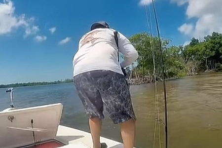 Nice Snook 27in Everglades National park Flamingo Joeyflatsfishing.com   #shortvideo  #fishing