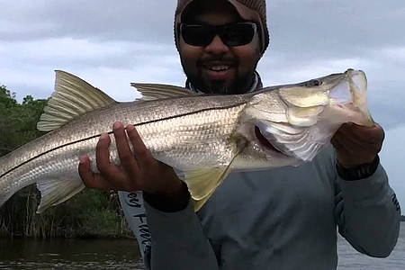 Nice Snook !   Pat Get's Lucky JoeyFlatsFishing.com 2014
