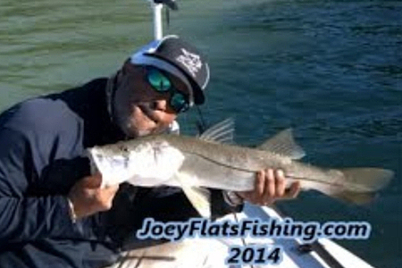 Snook Fishing in Everglades Nat. Park Flamingo #snookfishing