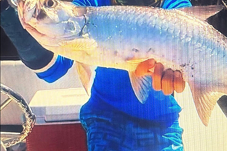 Tarpon on Fly Everglades flamingo 2019 @Joeyflatsfishing  #snook #tarpon #flyfishingonly #fishing
